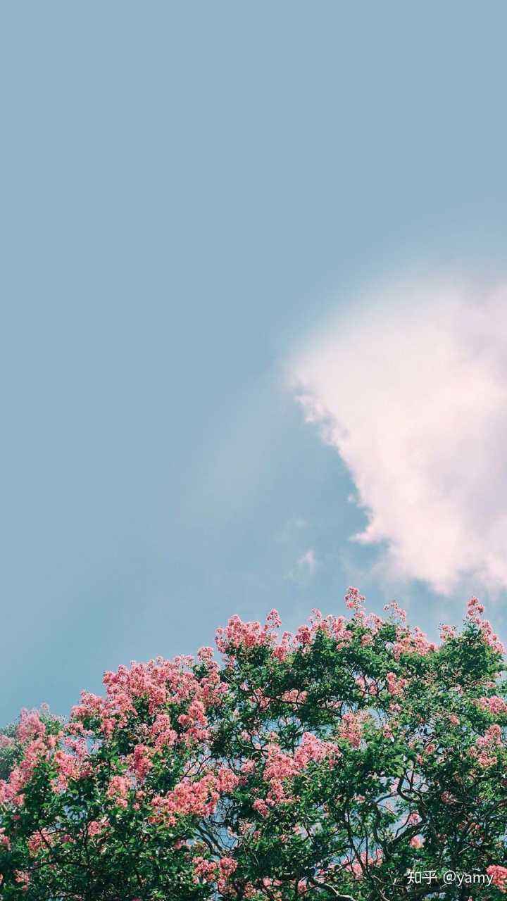 手机壁纸高清(手机壁纸高清全屏动态)