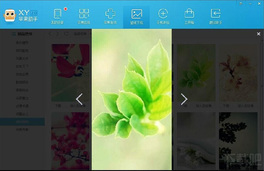 XY苹果助手如何导入壁纸2
