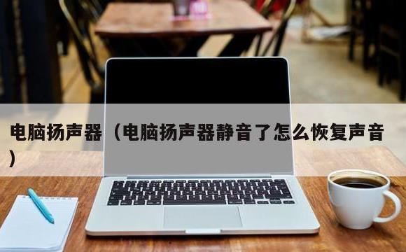 电脑扬声器(电脑扬声器静音了怎么恢复声音)