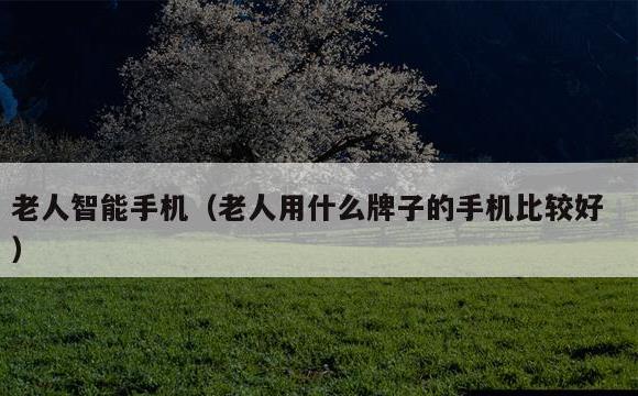 老人智能手机(老人用什么牌子的手机比较好)