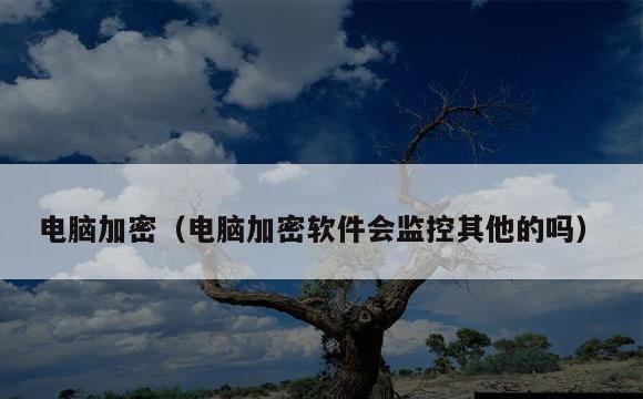 电脑加密(电脑加密软件会监控其他的吗)