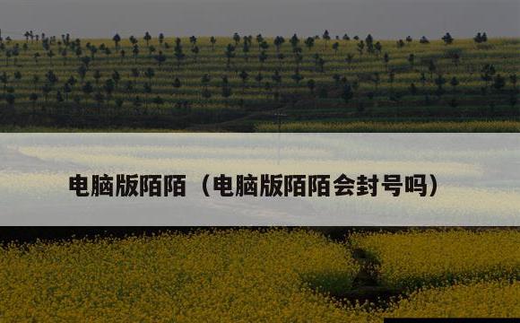 电脑版陌陌(电脑版陌陌会封号吗)