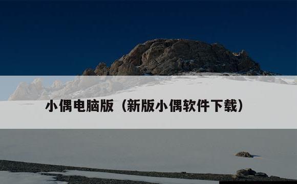 小偶电脑版(新版小偶软件下载)