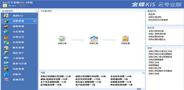 登录,金蝶,显示,系统