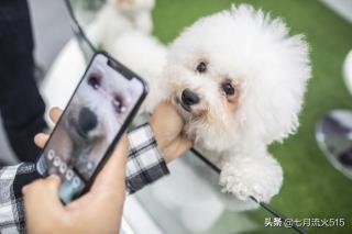 新手怎么制作短视频教程